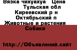 Вязка чихуахуа › Цена ­ 2 000 - Тульская обл., Киреевский р-н, Октябрьский п. Животные и растения » Собаки   